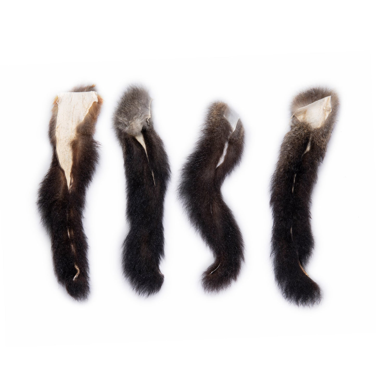 possum tails
