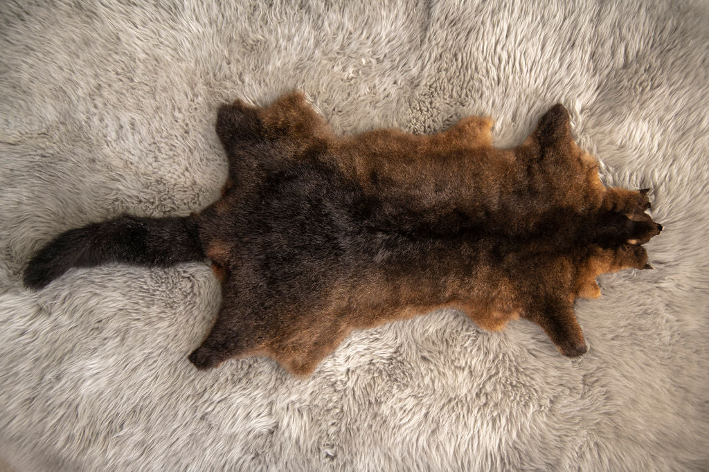 fluffy possum skin