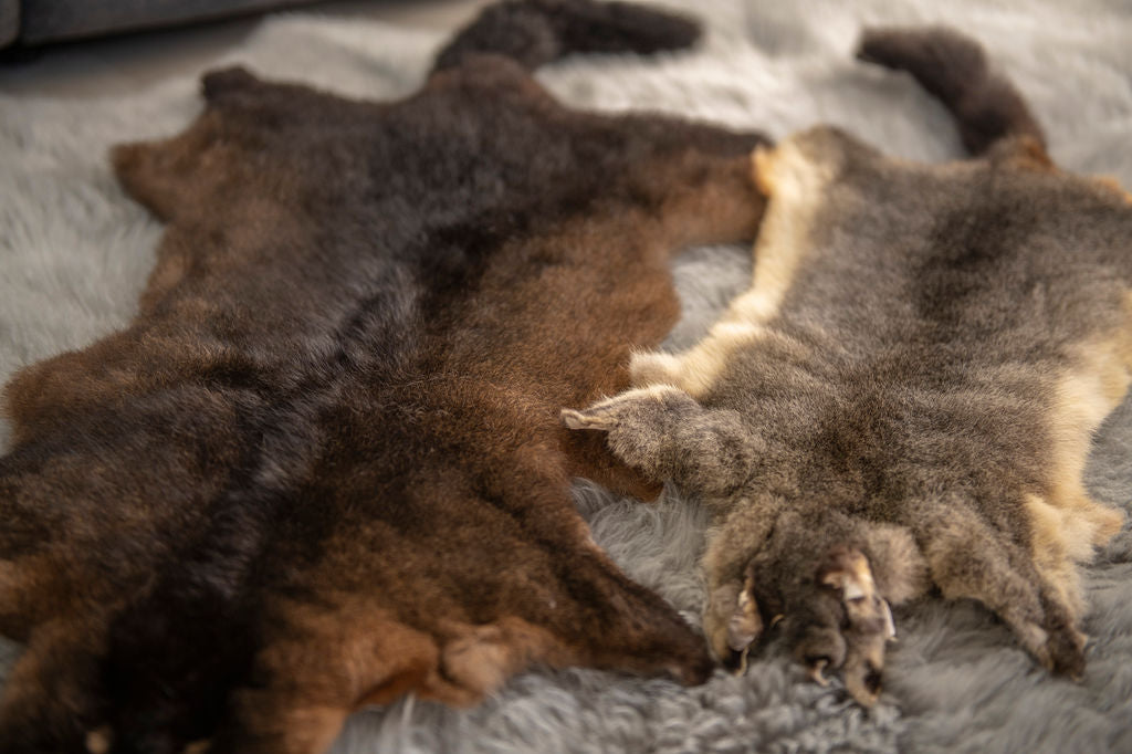 flat possum skin