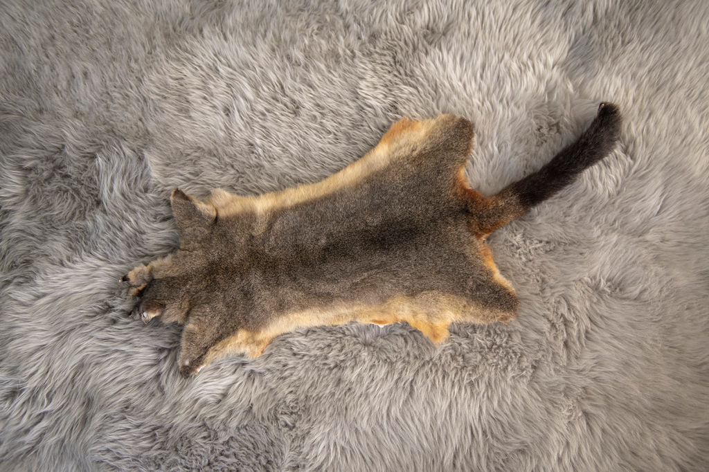 luxury flat possum skin