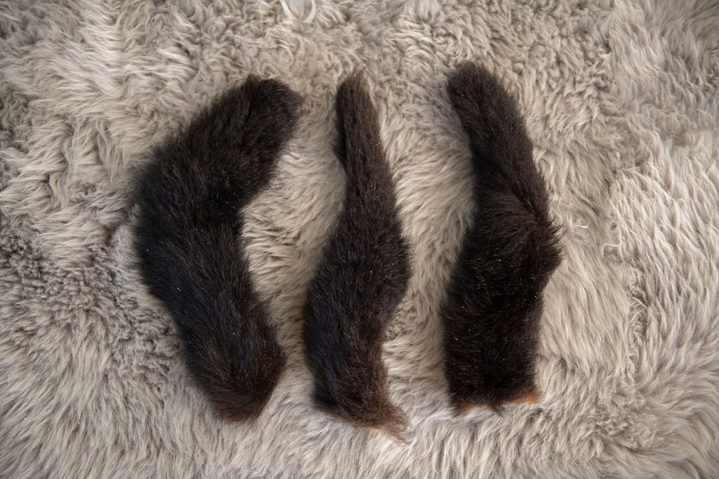 possum tail, cat toy